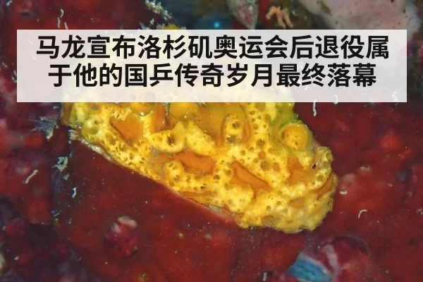 马龙宣布洛杉矶奥运会后退役属于他的国乒传奇岁月最终落幕